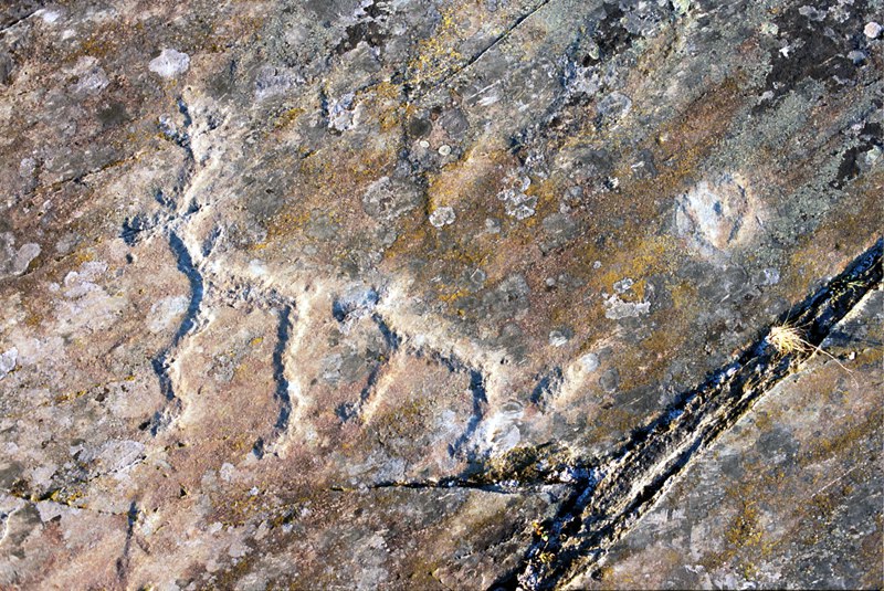 петроглифы канозера