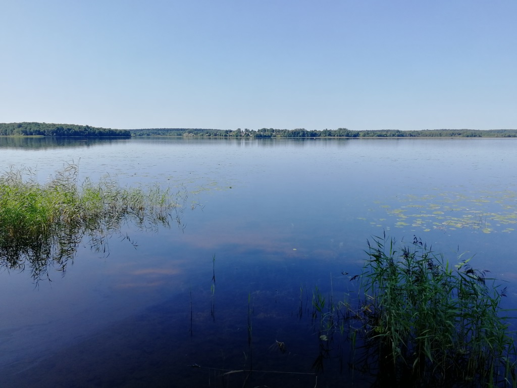 озеро Врево Псковская