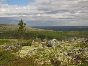 Карта заповедника пасвик