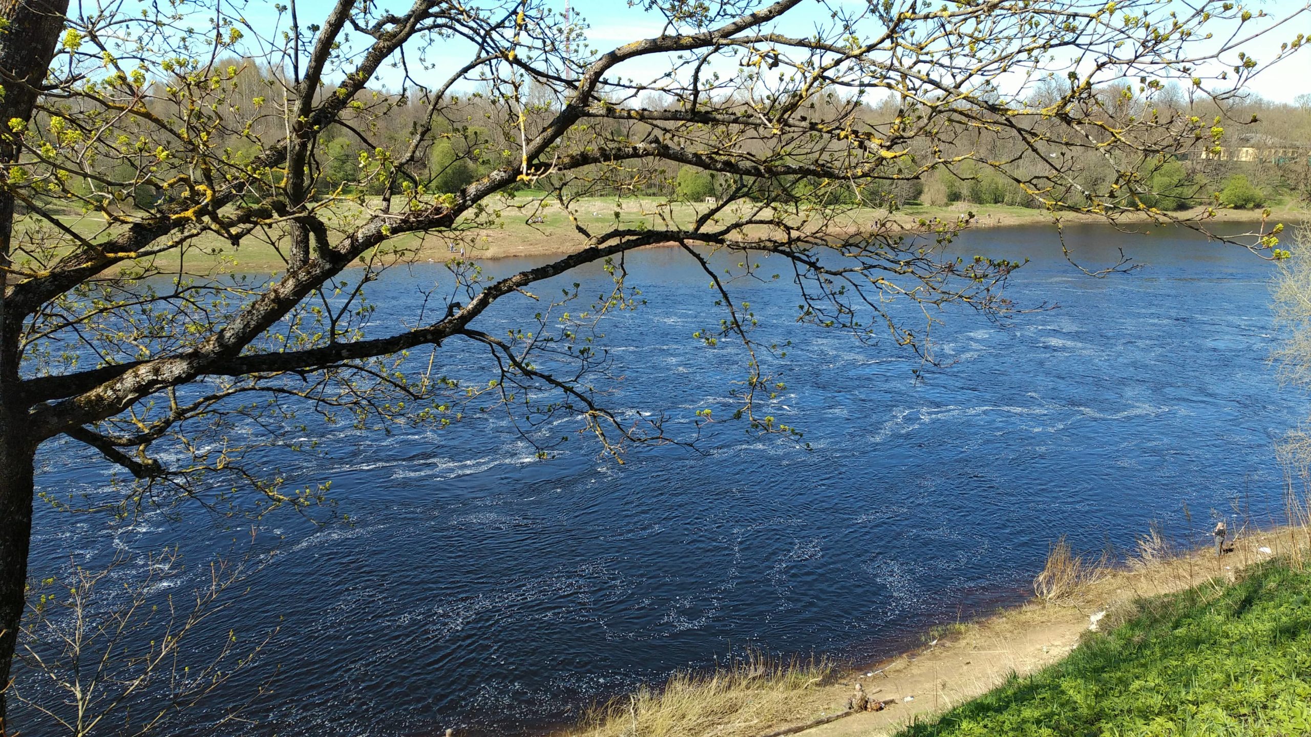 река луга